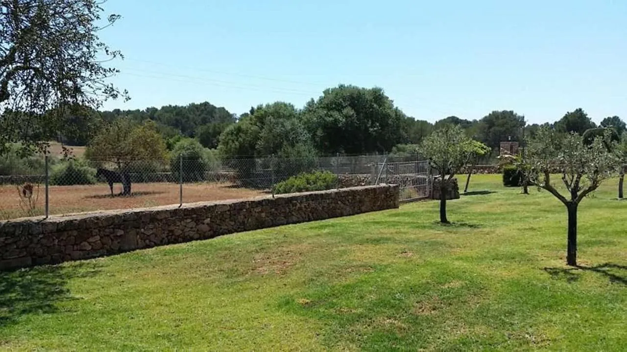 Cas Borrassos Βίλα Algaida